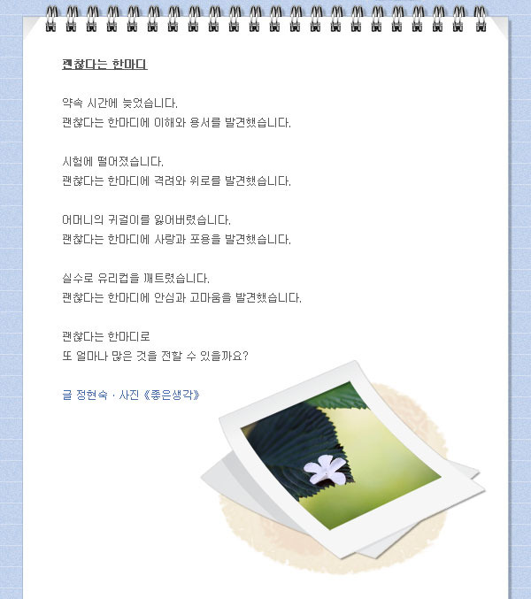 미디한 이미지