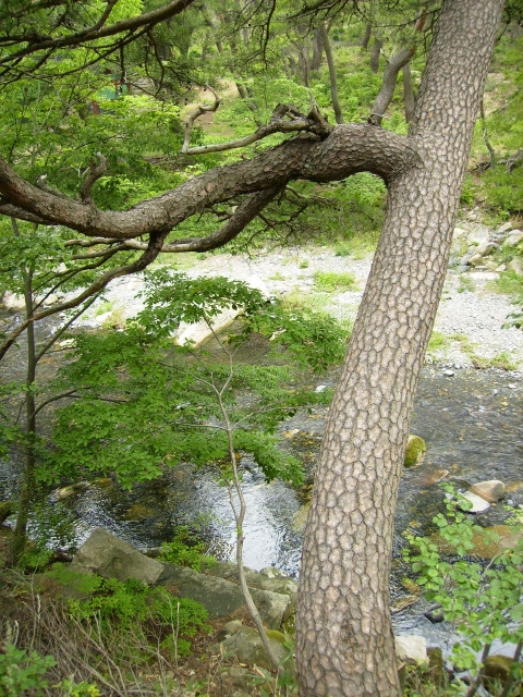 �̹����� Ŭ���ϸ� ������ ���� �� �ֽ��ϴ�.