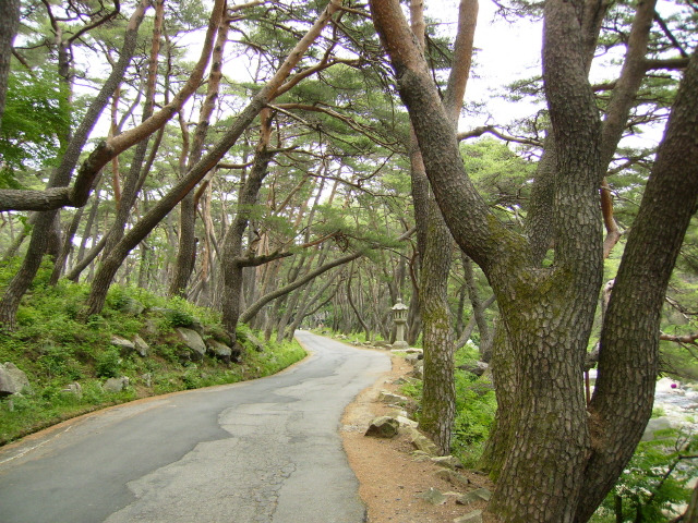 �̹����� Ŭ���ϸ� ������ ���� �� �ֽ��ϴ�.