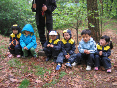 숲유치원 이미지
