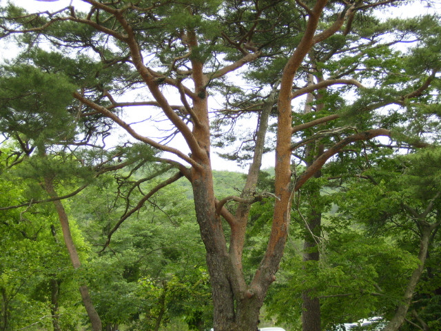 �̹����� Ŭ���ϸ� ������ ���� �� �ֽ��ϴ�.