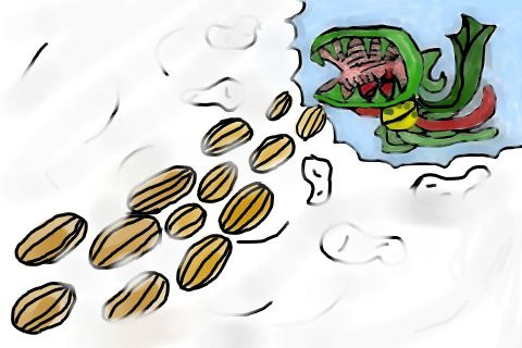 킵파고 이미지