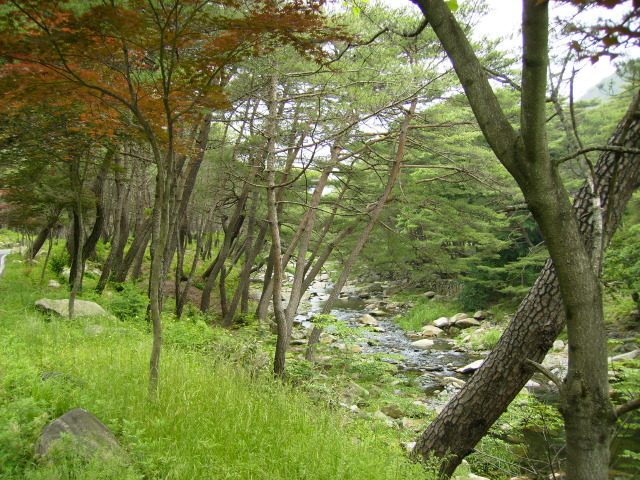 �̹����� Ŭ���ϸ� ������ ���� �� �ֽ��ϴ�.