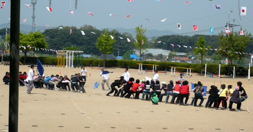 대관초등학교 이미지