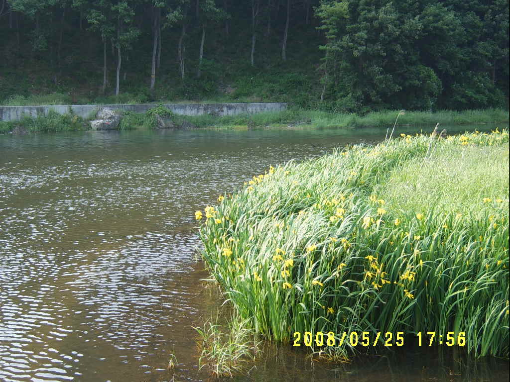 정읍한우 이미지