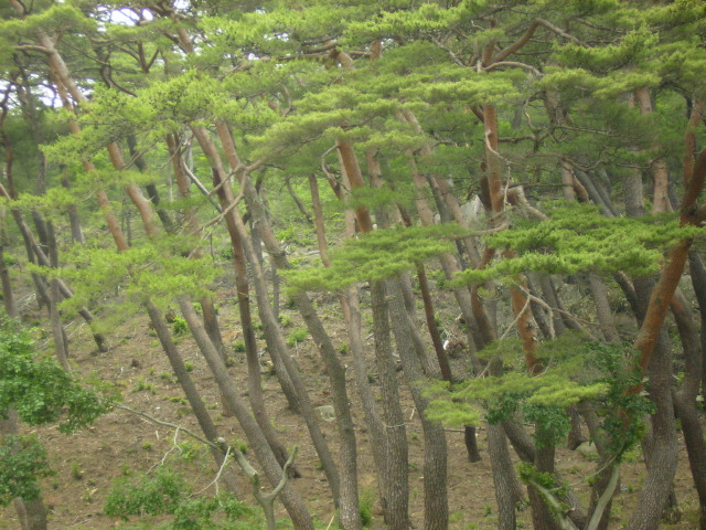 �̹����� Ŭ���ϸ� ������ ���� �� �ֽ��ϴ�.