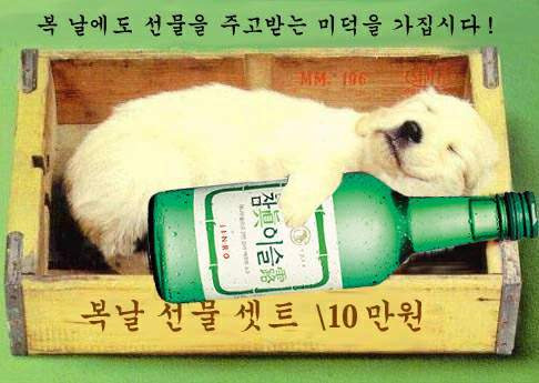 복 이미지