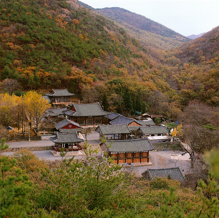 싱글벙글여행사 이미지