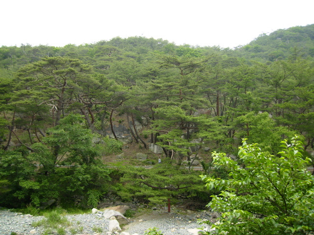 �̹����� Ŭ���ϸ� ������ ���� �� �ֽ��ϴ�.