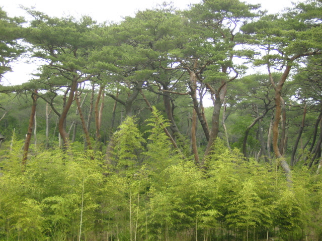 �̹����� Ŭ���ϸ� ������ ���� �� �ֽ��ϴ�.