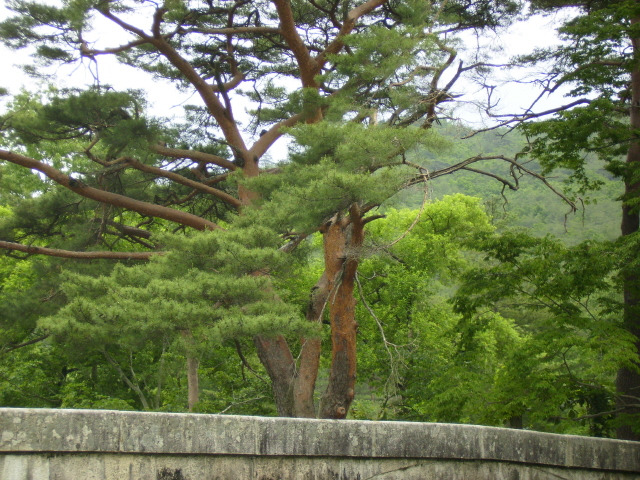 �̹����� Ŭ���ϸ� ������ ���� �� �ֽ��ϴ�.