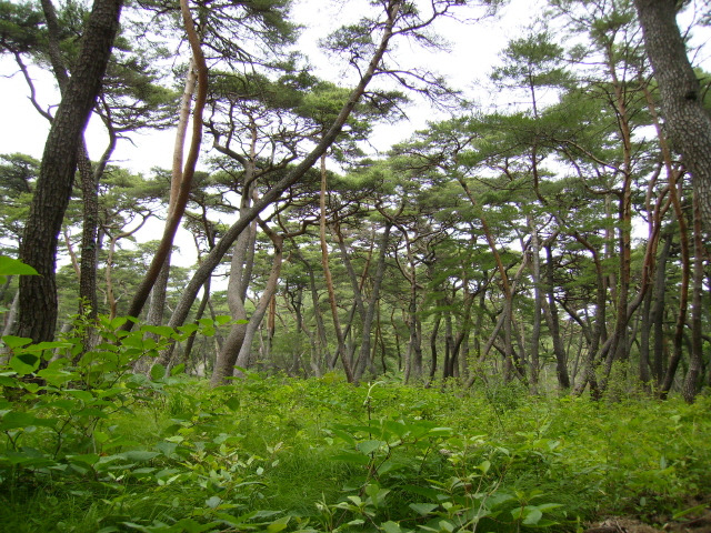 �̹����� Ŭ���ϸ� ������ ���� �� �ֽ��ϴ�.