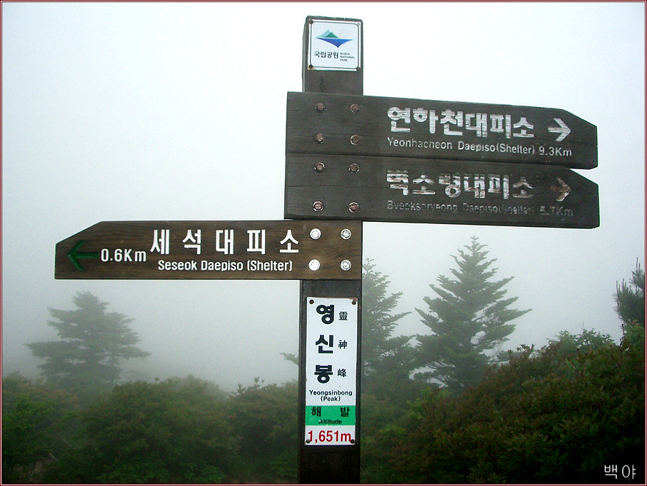 오케이몰, 1등 온라인쇼핑몰을 목표로