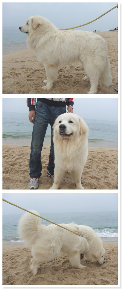 꼴통 이미지