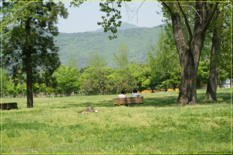 어린왕자의들꽃사랑마을은하별