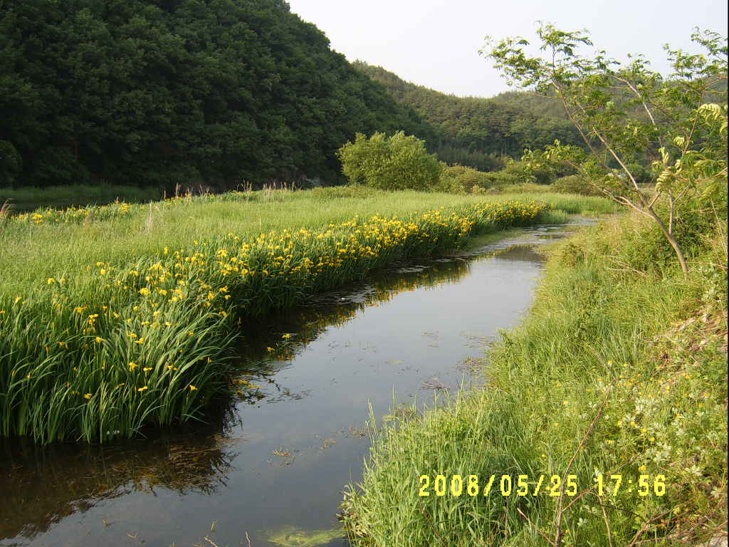 가야한우마을 이미지